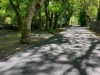 Gelli-Park2