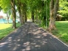 Gelli-Park3